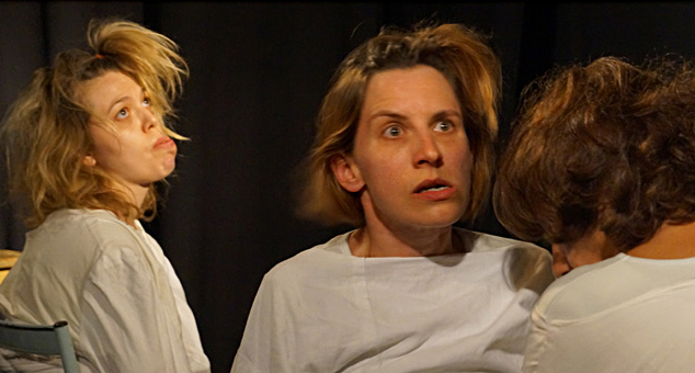 L'histoire du communisme racontée aux malades mentaux